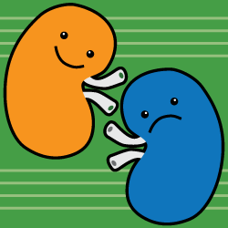 A Tale Of Two Kidneys