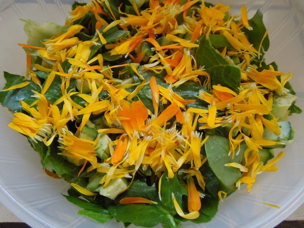 Make your salad in your salad bowl. I made a green salad with spinach, romaine, strawberry slices, avocado, and cucumber. Then I sprinkled the yellow and orange calendula petals on top and discarded the centers designed to become seeds. The centers a