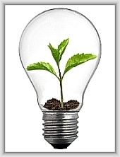 lens ideas