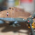 Airfix Messerschmitt Bf110E kit Airfix Messerschmitt Bf110E kit