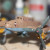 Airfix Messerschmitt Bf110E kit Airfix Messerschmitt Bf110E kit