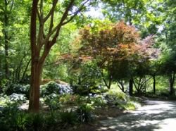 Clemson Botanical Gardens