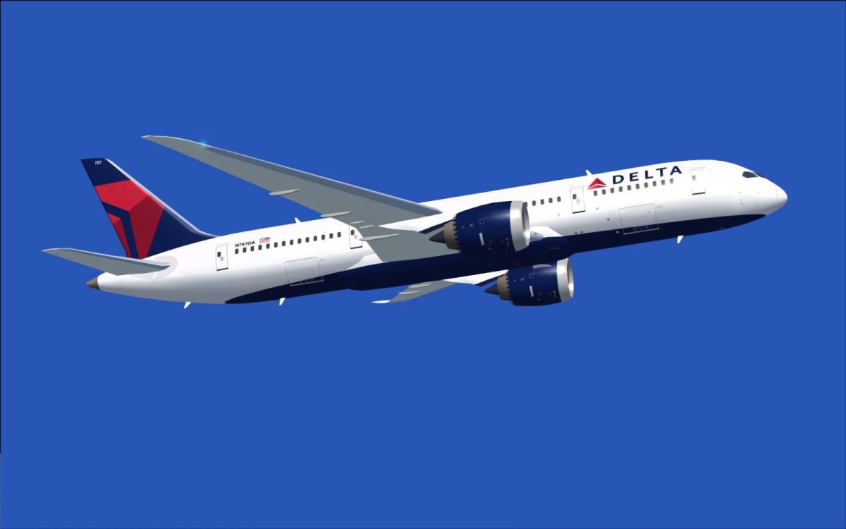 Delta Air Lines Organizational Chart