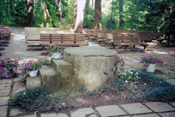 Inspiration Stump