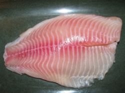 counterfeit grouper