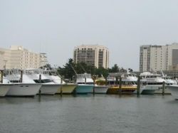virginia beach fishing charter boats