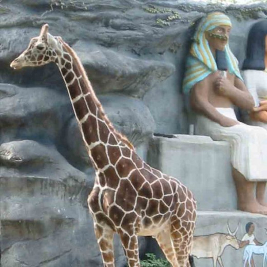 Lions, Tigers and all sorts of other animals are waiting for you to visit.   The zoo is one of my favorite places to go.