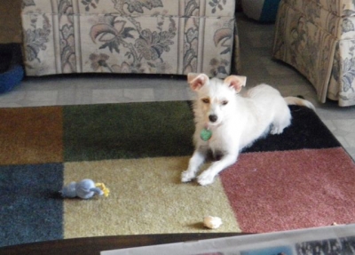 Lexie with favorite toys