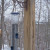 Black Oil Sunflower Seed Feeder Black Oil Sunflower Seed Feeder
