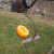 Oriole Feeder Oriole Feeder