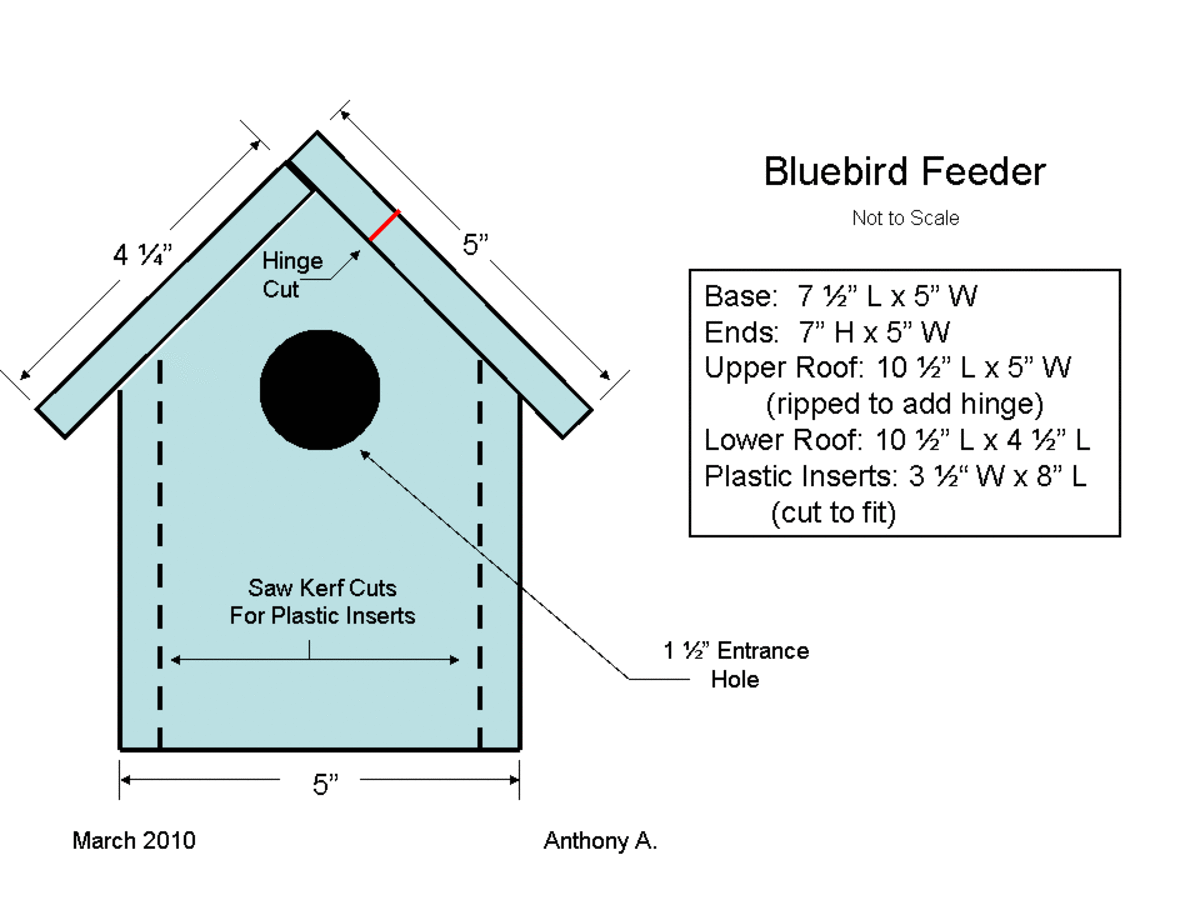 Bluebird Feeder Plans: How to Make a Bluebird Feeder 