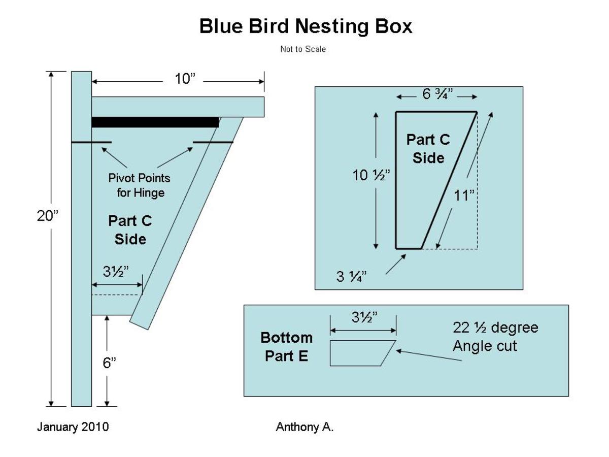 Bluebird Nest Box Plans How To Build A Peterson Bluebird House Slant