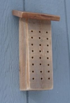 Mason Bee House Plans: How To Make A Bee House