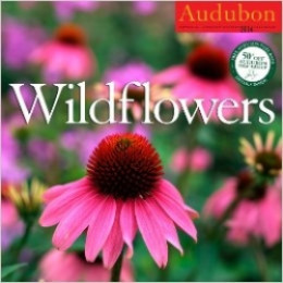 Wall Calendars And More By Audubon Hubpages