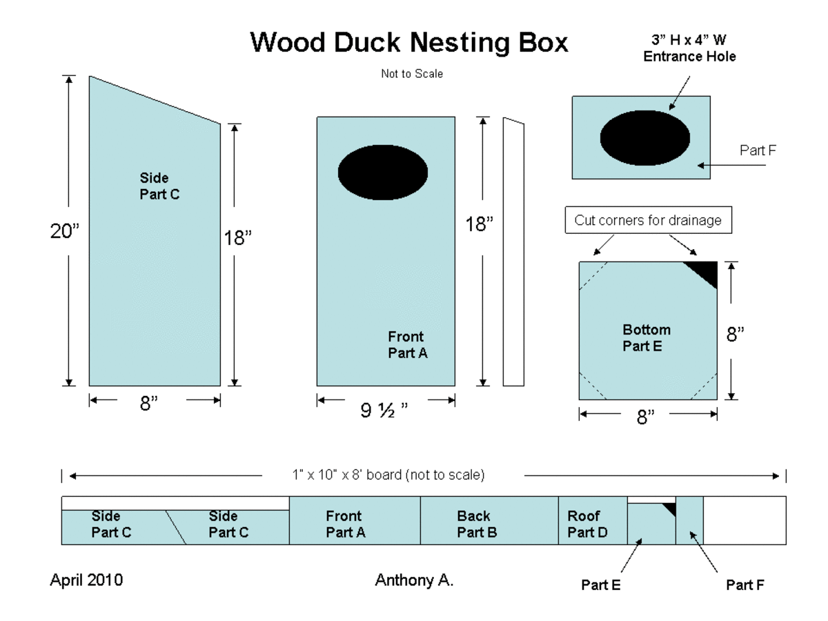 Wood Duck Nest Box Plans: How To Build A Wood Duck Nesting ...