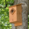 Screech Owl House Plans: How To Build A Screech Owl Box