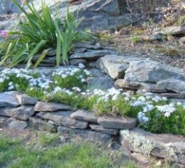 home and beautiful gardening