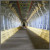 Marvelous Structure at Rameshwaram
Photo Courtesy: http://www.flickr.com/photos/mkuram/2874988077/sizes/l/ Marvelous Structure at RameshwaramPhoto Courtesy: http://www.flickr.com/photos/mkuram/2874988077/sizes/l/