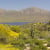 Bartlett Lake at last! Yellow Brittlebush in the foreground. Bartlett Lake at last! Yellow Brittlebush in the foreground.