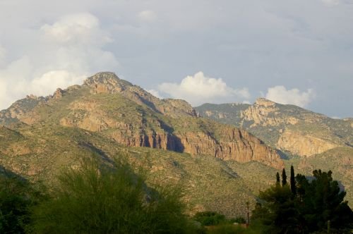 Another view from the Catalina Foothills. The spiky trees barely visible to the right above the green bush are Italian Cypress. They are not native, but are widely planted.