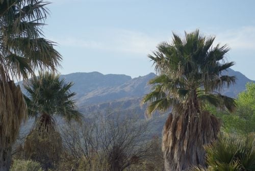 Another view from Agua Caliente. "Caliente" means "hot" in Spanish.