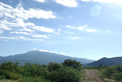 This is actually a view of the Rincon Mountains, which are just east of the Catalinas. This is along the road between Colossal Cave and Vail.