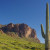 View within the Lost Dutchman State Park. That is a Saguaro on the right.