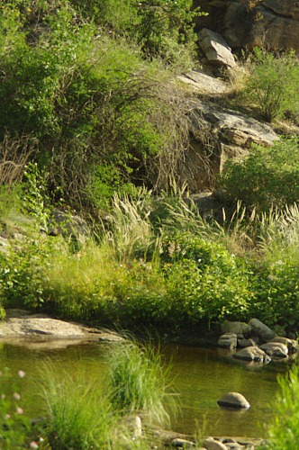 Cool oasis.