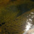 Sunlight sparkling on the water makes stars in my lens. Sunlight sparkling on the water makes stars in my lens.