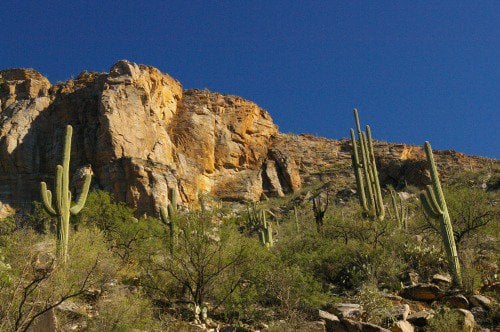 Still more rocks and saguaros.