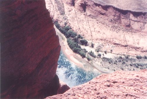 A closeup of some of the water.