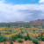 Another view of "spring". Another view of "spring".