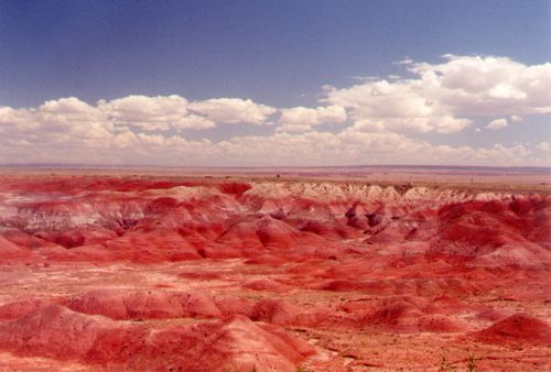 The hills are rich in iron oxide. That is what makes the red color. In other words, the hills are rusty!