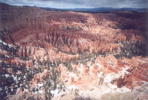 Snow and trees decorate the hoodoos.