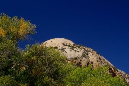Not typical; the rocks are not red.