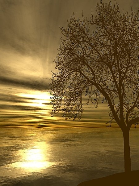 Evening Sea - This is one of my more popular images. It is basically sky and water, with no real land. The tree was a gift from a friend, added in Paint Shop Pro.