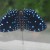 Starry Night Cracker. Male. Starry Night Cracker. Male.