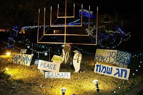 Menorah, in celebration of Chanukah, with signs. Notice he has two of the lost penguins.