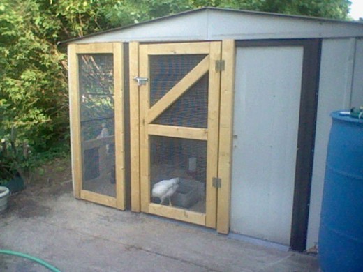 From Old Metal Shed to Trendy Chicken Coop