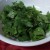 Cilantro.