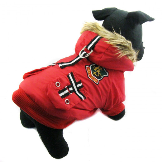Designer Dog Hoodie