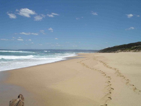 Station Beach