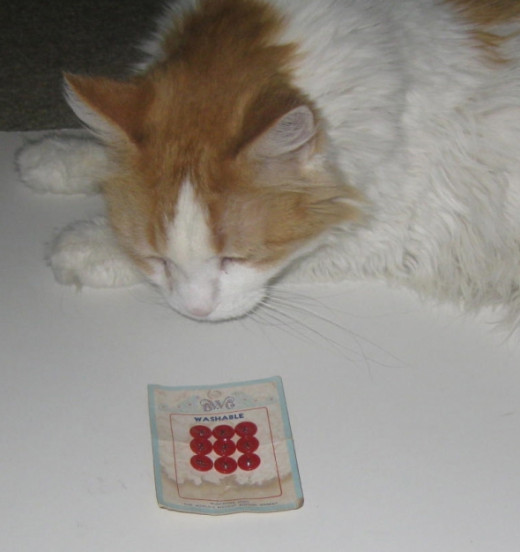 I put stuff on the floor to photograph. Scarlett lays on it or next to it.