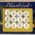 Bluebird buttons and card. Courtesy of Gathering Dust.