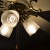 A picture of the new retro Edison style bulbs installed in our Casablanca style ceiling fan. A picture of the new retro Edison style bulbs installed in our Casablanca style ceiling fan.