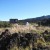 The Holua Campsite The Holua Campsite
