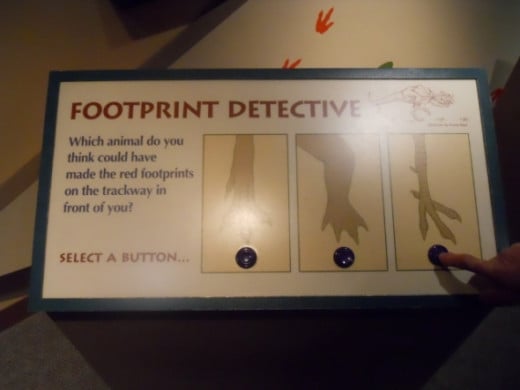 Here is the second Footprint Detective when you push the button and guess a wall sign lights up.   See the next picture.