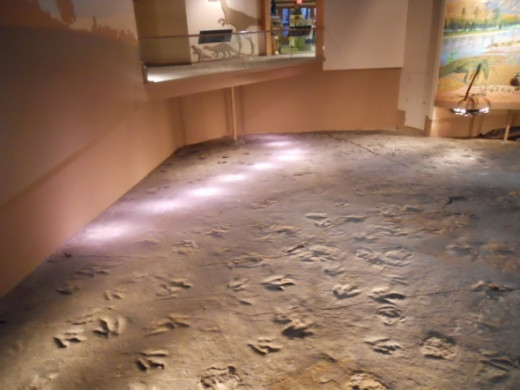 Here's another example of the path of one particular dinosaur lit up.