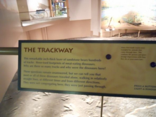 Information on the trackway