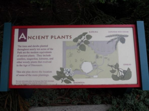This sign explains that the plants in the arboretum are modern counterparts of ancient plants.  